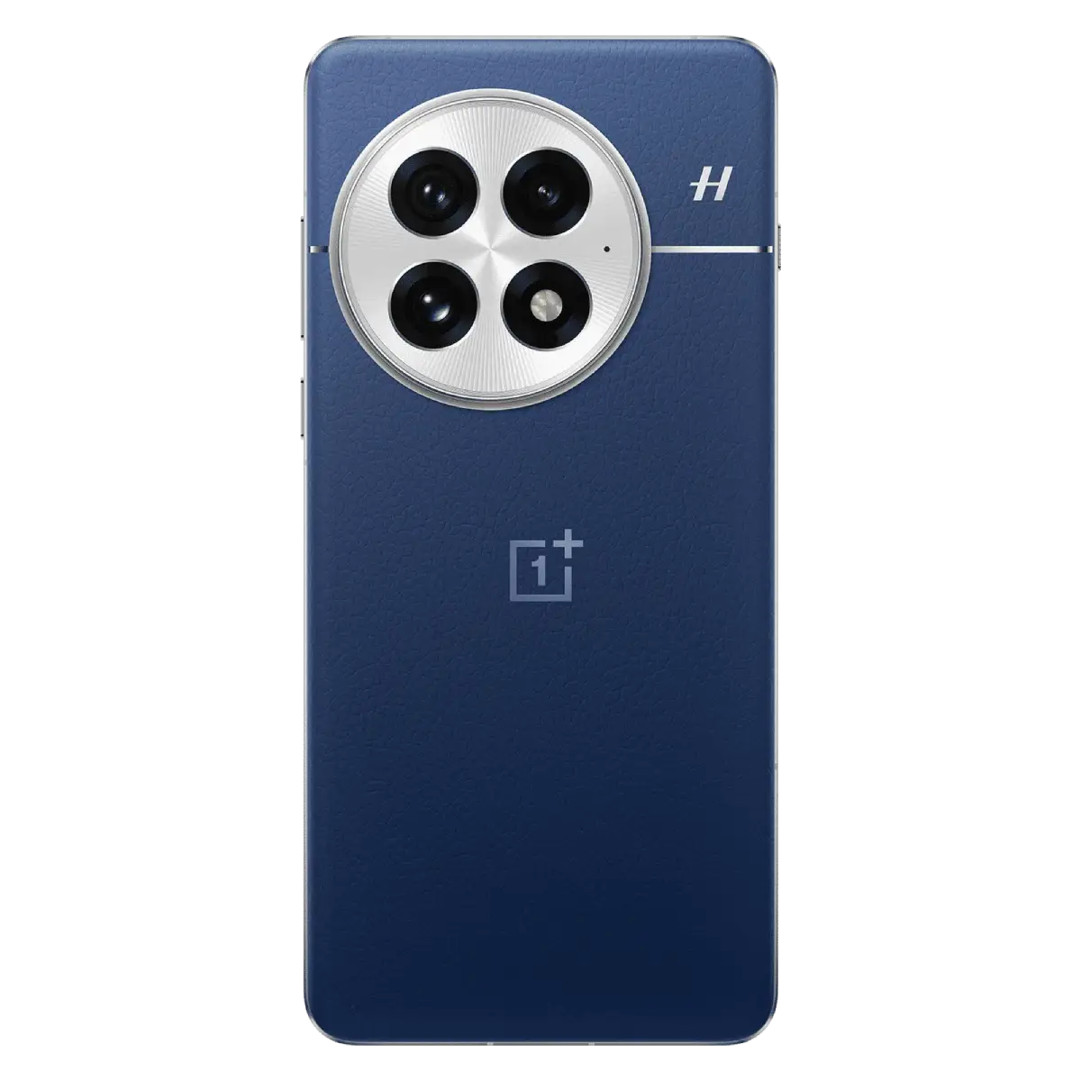 OnePlus 13 phone
